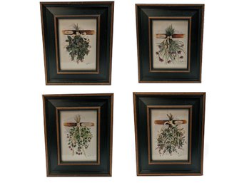 4 Framed Prints - Herbs