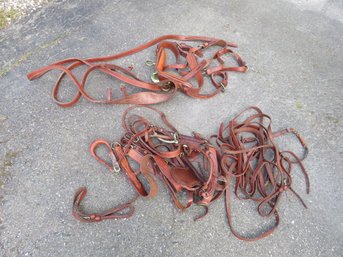 Lot Of Horse Riding Crops Bridles Leather England