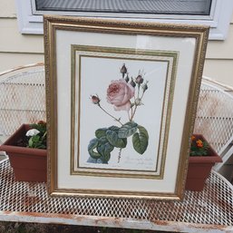 #144 - Beautiful 22' X 18' Framed Print Of Pink Roses. The Layered Matting Job And The Gold Frame On This Piec