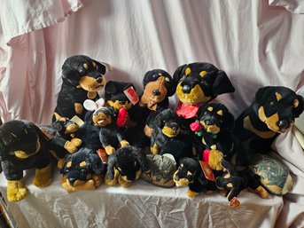 Collection Of Sixteen Stuffed Animal Rotties