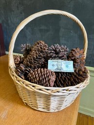 Basket Full Of VERY LARGE Pine Cones - Some Over 10' Tall - Some Retail For $20 Each !