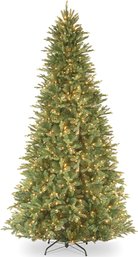 National Tree Company 12- Ft Tiffany Fir Pre-lit Slim Artificial Christmas Tree With White Lights