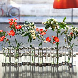 Tse Tse French Glass Articulating Flower Vases