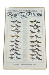 American Warblers Framed Poster