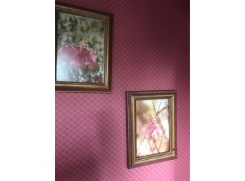 2 Framed Photographs Of Flowers