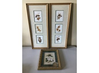 Framed Pressed Flowers And Summertime Magnolias, Signed Peggy Abrams