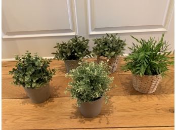 Group Of Five Faux Potted Plants