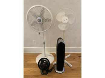 Group Of Fans