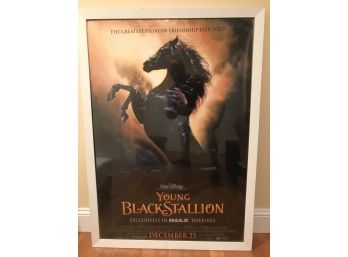 Large Disney 'Young Black Stallion' Framed Poster