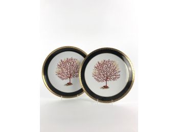 Set Of Decorative Plates