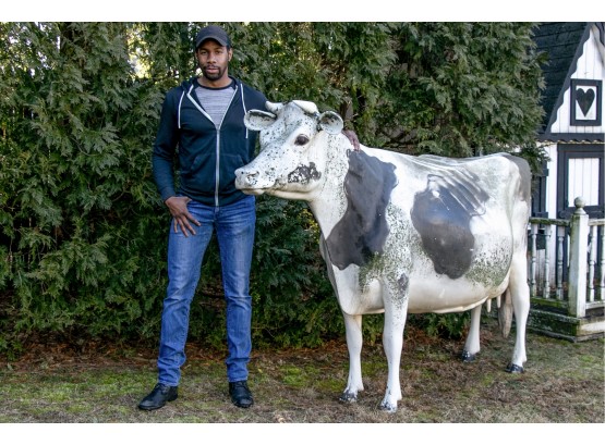 Awesome Lifesized Painted Fiberglass Cow