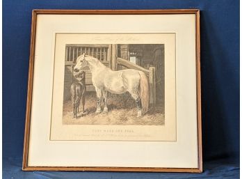 Fore's Series Of The Mothers Plate 2 Cart Mare And Foal After J.F. Herring Painting