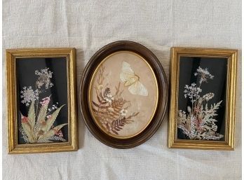 Pair Of Woodland Pictures Real New England Flowers & Eacles Imperials U.G. Lippincott Dried Press Flowers