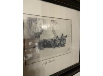 Seven Framed Scottie Prints