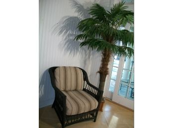 HUGE Decorative Palm Tree  In Bamboo Pot