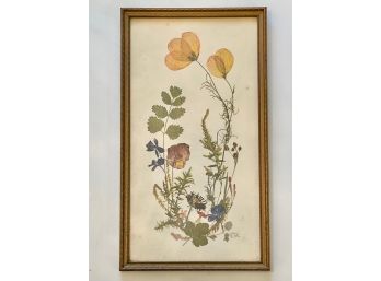 Vintage Framed Wild Flower Botanical, Signed Lower Right