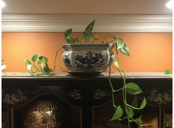 Asian Inspired Po And House Plant