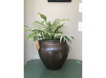Copper Pot With Bamboo And Mixed Plant