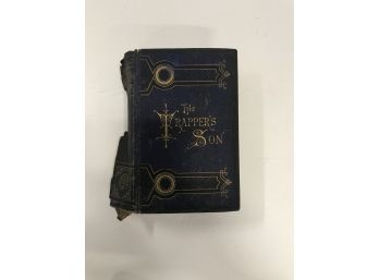 Antique Book - 'The Trappers Son'