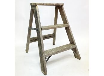 A Petit Step Ladder