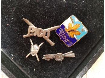 Vintage Ski Pins