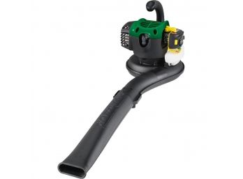 Weed Eater FB25 25 CC Gas Handheld Leaf Blower