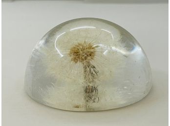 Vintage Lucite Encased Dandelion Flower Decorative Object Paperweight