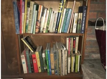 2 Shelves Full Of Old Books And Novels