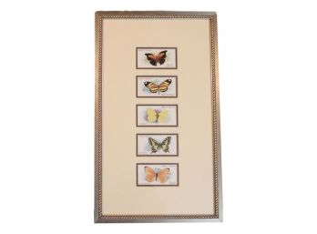 John Player & Sons 'Butterflies' Cigarette Cards  Framed