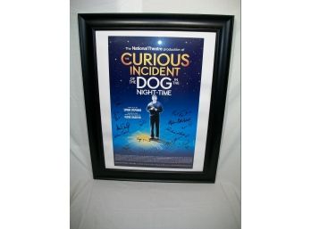 Signed The Curious Incident Of The Dog In The Night-Time (Real Signatures)
