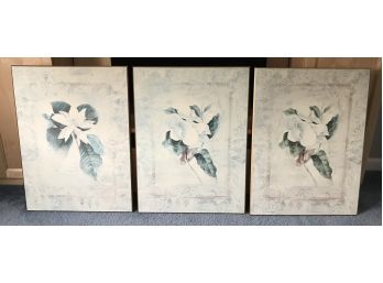 Large Floral Prints Mounted On Boards