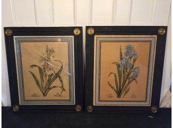 Pair Of Framed Iris Prints
