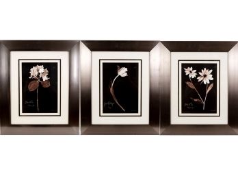 Three Framed Florals