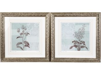 Pair Of Framed Horticulture Prints