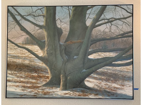 Joseph Reboli (American, 1945-2004) Huge Oil On Canvas Of Tree