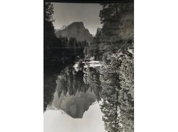 N.A. ADAMS 'Staggered Trees Reflection' Photograph