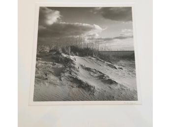 N.A. ADAMS 'Sea Grass On The Dunes' Photograph