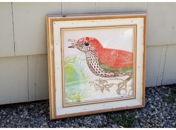 Hand Colored Framed Bird Print - WESTPORT PICKUP