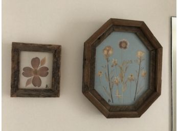 Pretty Pressed Flower Pictures