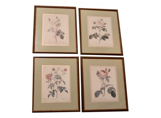 Set Of Four Pierre-Joseph Redouté (1759 –1840) Botanical Prints