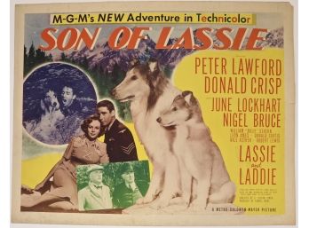 Original Vintage “Son Of Lassie”  Movie Poster