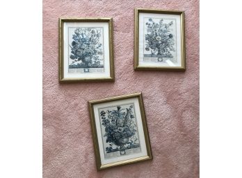 Three Framed Botanical Prints