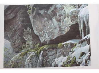 Robert Bateman At The Cliff S/n Ltd Ed $325 At Prints.com