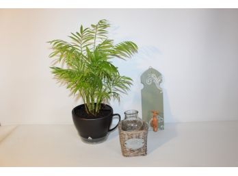 Neanthe Bella Palm With Rustic Decor Duo