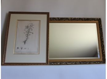 Botanical & Framed Beveled Mirror