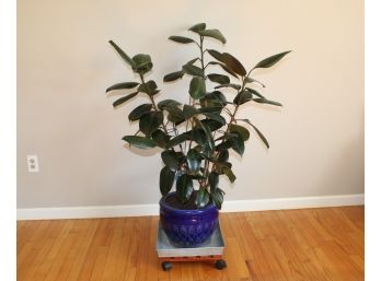 Colbalt Blue Planter With Plant,  Rolling Stand & Watering Stem