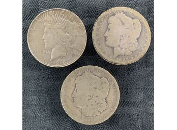 Lot Of (3) Morgan And Peace Silver Dollars