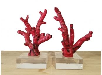 Red Coral Sculptural Bookends On Lucite Base