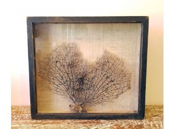 Coral Art In Shadowbox