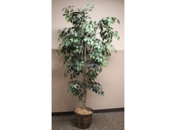 Tall Faux Indoor Ficus Tree